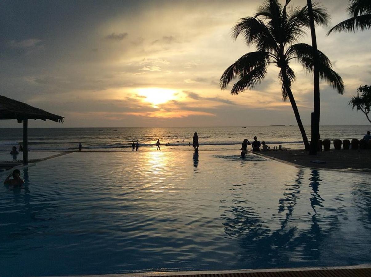 The Palm